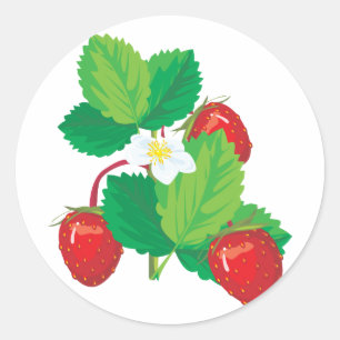 Pegatina Redonda fresas jugosas realistas