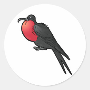 Pegatina Redonda Frigatebird magnífico