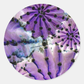 Pegatina Redonda From Space