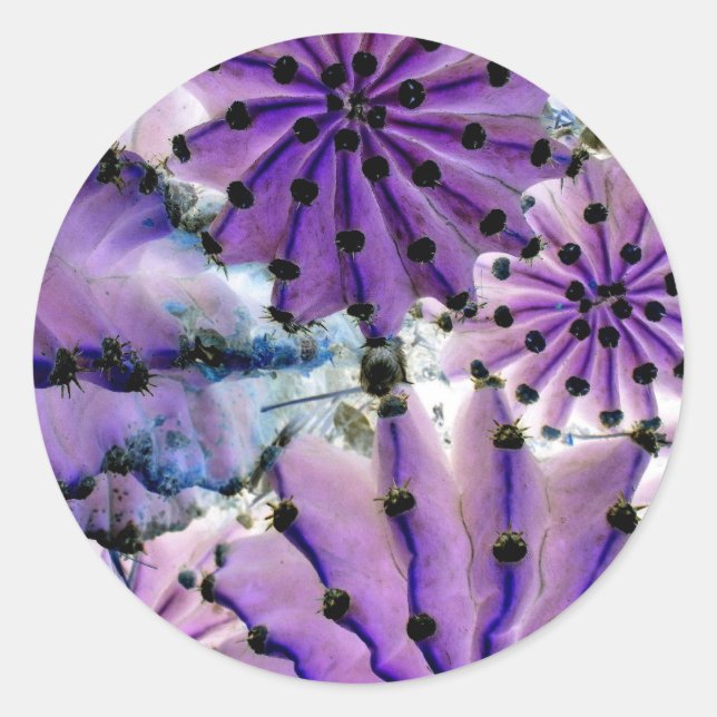 Pegatina Redonda From Space (Anverso)