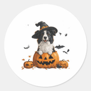 Pegatina Redonda Frontera Collie Dog Calabaza Halloween Acción de G