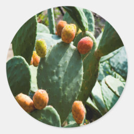 Pegatina Redonda Fruta de Cactus Pear Pricky