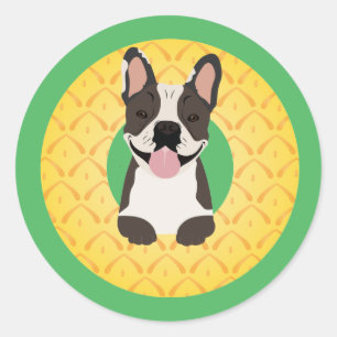Pegatina Redonda Fruta de la piña del Bulldog francés