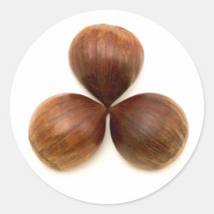 Pegatina Redonda Frutas dulces de castañas