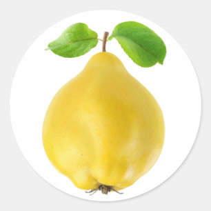 Pegatina Redonda Fruto de quinceañera