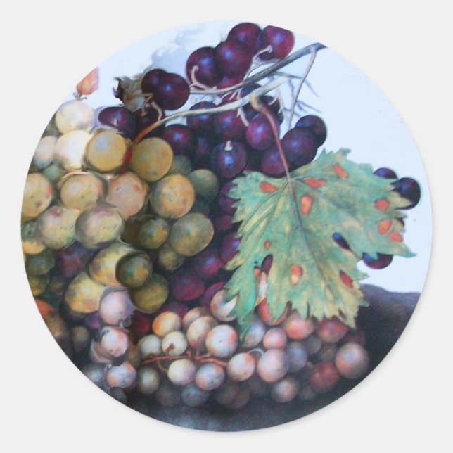 PEGATINA REDONDA FRUTOS DE TEMPORADA 1 (Anverso)