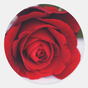 Pegatina Redonda Fuego De Terciopelo