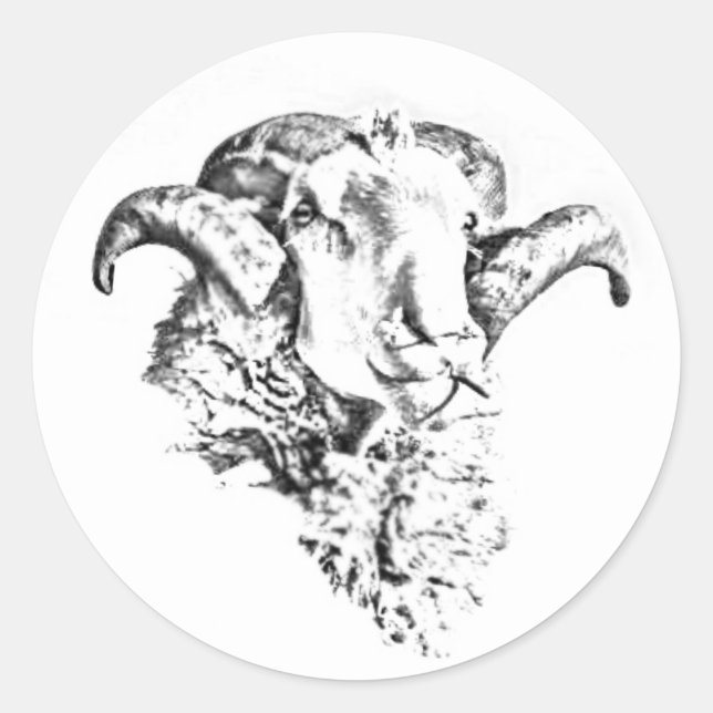 Pegatina Redonda Funky Cuep Ram Head Sketch (Anverso)