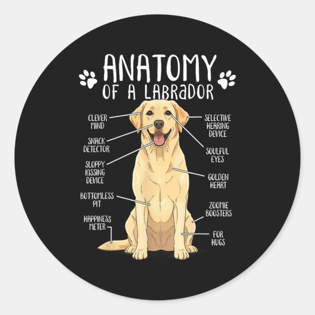 Pegatina Redonda Funny Anatomy Labrador Retriever Yellow Lab Dog Ow (Anverso)