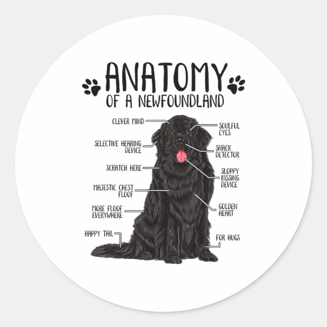 Pegatina Redonda Funny Anatomy Newfoundland Dog Cute Newfie Lover  (Anverso)