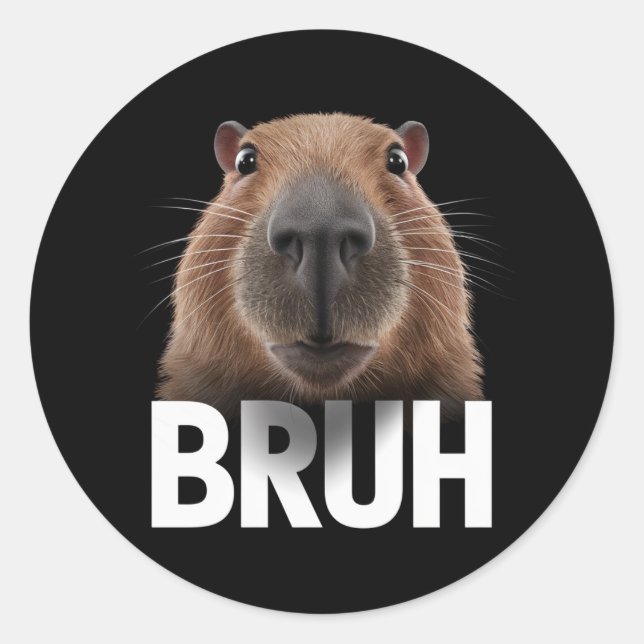 Pegatina Redonda Funny Capybara Bruh (Anverso)