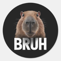 Funny Capybara Bruh