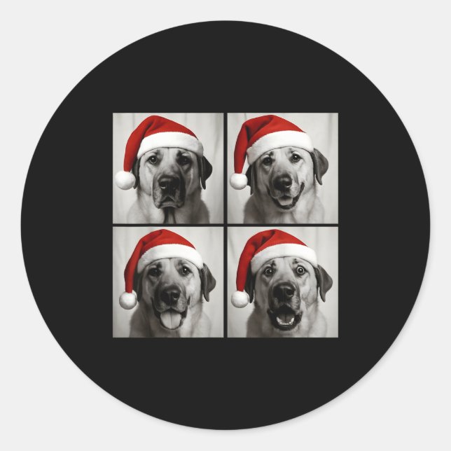 Pegatina Redonda Funny Christmas Anatolian Shepherd Santa Dog Photo (Anverso)