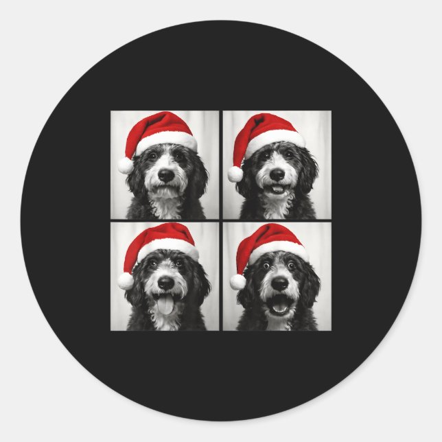 Pegatina Redonda Funny Christmas Bernedoodle Santa Doodle Dog Photo (Anverso)