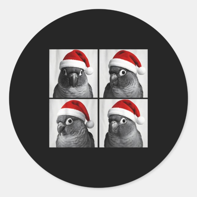 Pegatina Redonda Funny Christmas Green Cheek Conure Santa Photo Boo (Anverso)