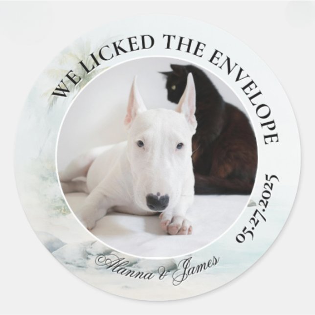 Pegatina Redonda Funny Dog “I Licked the Envelope” Tropical Beach (Round wedding sticker with dog and cat photo, “We Licked the Envelope,” and names Alanna and James.)