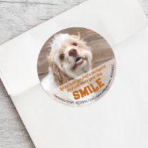 Funny Dog Real Estate Pop By