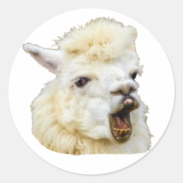 Pegatina Redonda Funny face lachendes Alpaka Crazy Lama Zähne