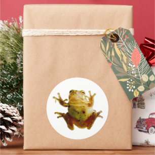 Pegatina Redonda Funny Frog Froggie Toad 4Fred