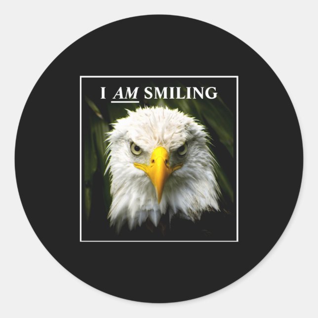 Pegatina Redonda Funny I Am Smiling Mpy Eagle Photo  (Anverso)