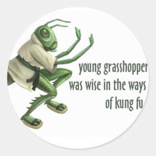 Pegatina Redonda Funny Kung Fu Grasshopper