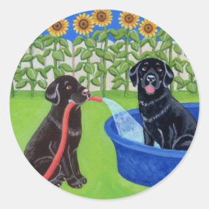 Pegatina Redonda Funny Pool Fiesta Labradors