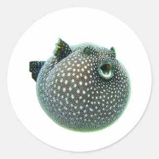 Pegatina Redonda ​Funny Spotted Puffer Fish Sticker - Blowfish Mari