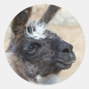 Pegatina Redonda Fur Face