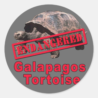 Pegatina Redonda Galápagos Tortoise pone en peligro camisetas de ar