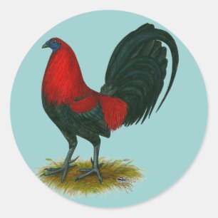 Pegatina Redonda Gallo de pelea americano: Pardo Rojo