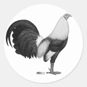 Pegatina Redonda Gallo Gris Duckwing