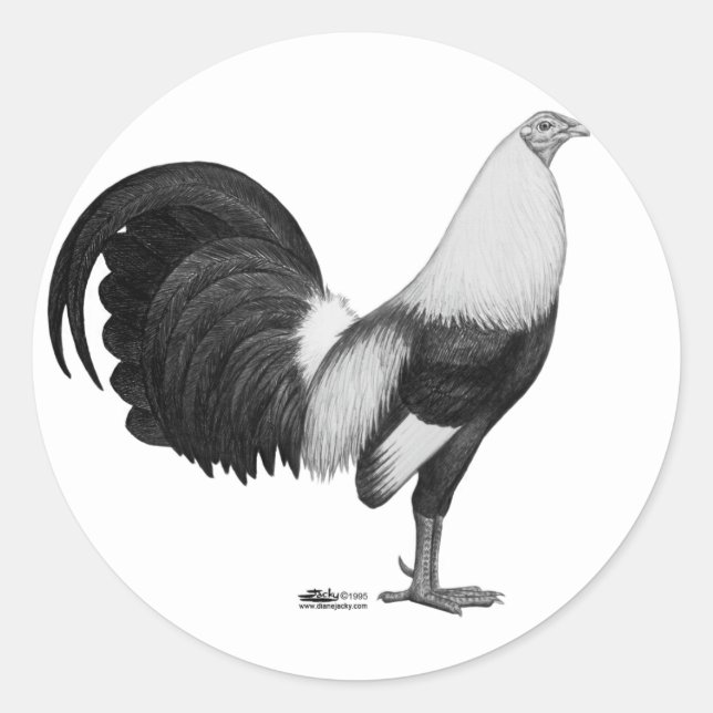 Pegatina Redonda Gallo Gris Duckwing (Anverso)