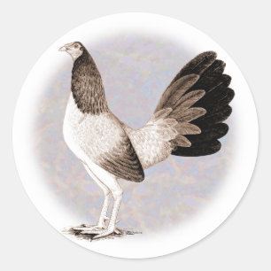 Pegatina Redonda Gamecock: Hennie