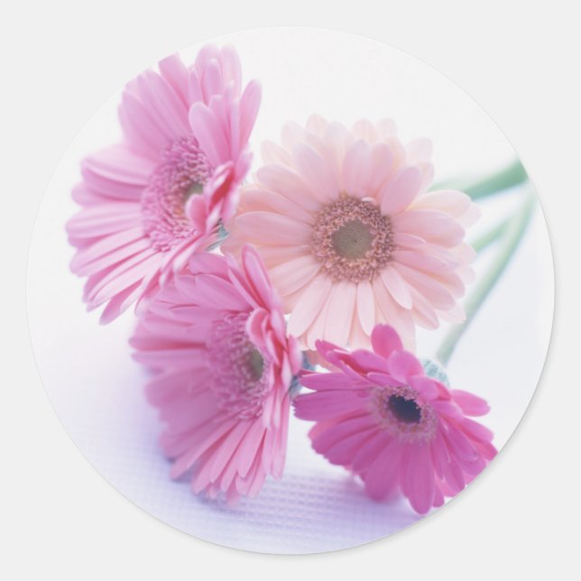 Pegatina Redonda Garden Bounty 8 (Anverso)