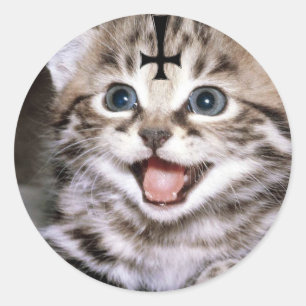 Pegatina Redonda gatito