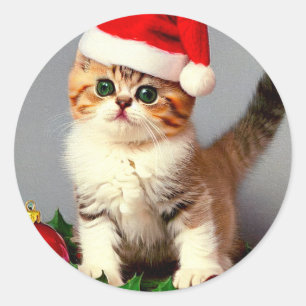 Pegatina Redonda Gatito vintage de Navidad en Santa Hat