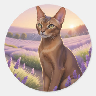 Pegatina Redonda Gato abisino en campo de lavanda