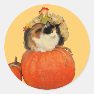 Pegatina Redonda Gato Calico y Espantapájaros en Calabazas