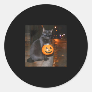 Pegatina Redonda Gato de calabaza divertido meme truco o trato Hall