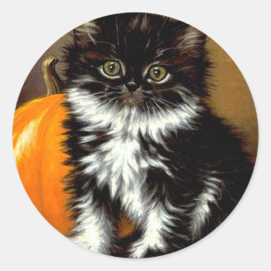 Pegatina Redonda Gato de Halloween blanco y negro vintage