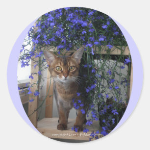 Pegatina Redonda Gato de la flor (oval)