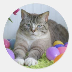 Pegatina Redonda Gato de Pascua