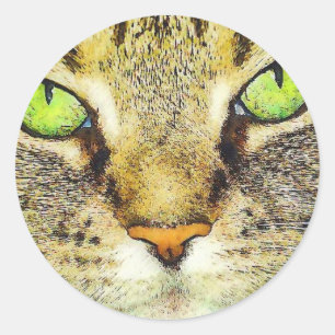 Pegatina Redonda Gato de Tabby con ojos verdes