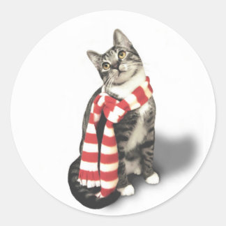 Pegatina Redonda Gato de Tabby marrón en una bufanda roja y blanca