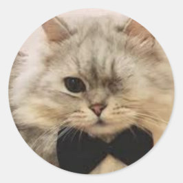 Pegatina Redonda Gato de un ojo