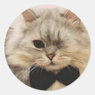 Pegatina Redonda Gato de un ojo