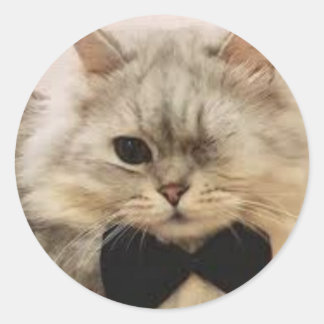 Pegatina Redonda Gato de un ojo