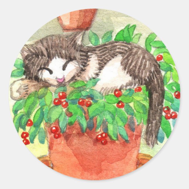 Pegatina Redonda Gato dormido en la planta (Anverso)