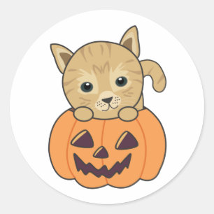 Pegatina Redonda Gato En Calabaza Gatos Dulces Feliz Halloween Clas