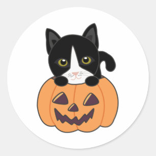 Pegatina Redonda Gato En Calabaza Gatos Dulces Feliz Halloween Clas